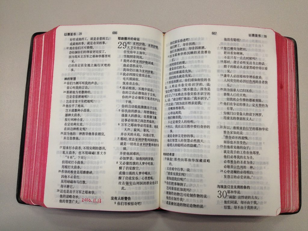bible in chinese language